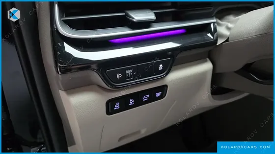 KIA CARNIVAL GASOLINE 9-SEATER HI LIMOUSINE (7-SEATER LIMOUSINE(SPECIAL VEHICLE)