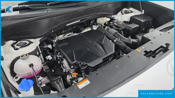 HYUNDAI PALISADE GASOLINE 2.5T 2WD 9-SEATER