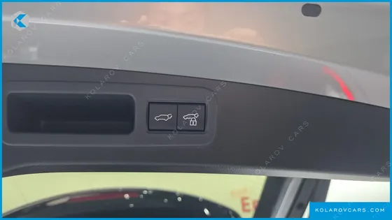 LEXUS RX PREMIUM
