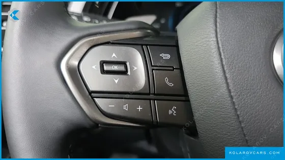 LEXUS RX PREMIUM