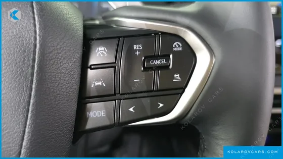 LEXUS RX PREMIUM