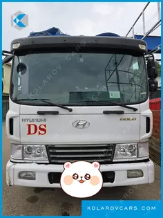 HYUNDAI MEGA TRUCK GOLD
