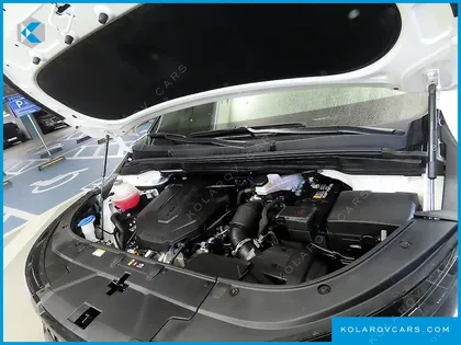 KIA CARNIVAL 9-SEATER HI LIMOUSINE (SPECIAL VEHICLE)