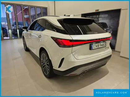 LEXUS RX LUXURY