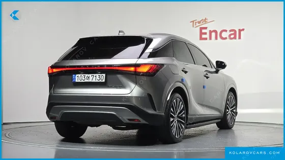 LEXUS RX LUXURY