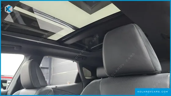 LEXUS RX LUXURY