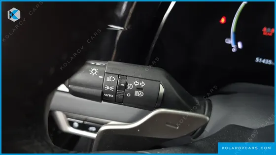 LEXUS RX LUXURY