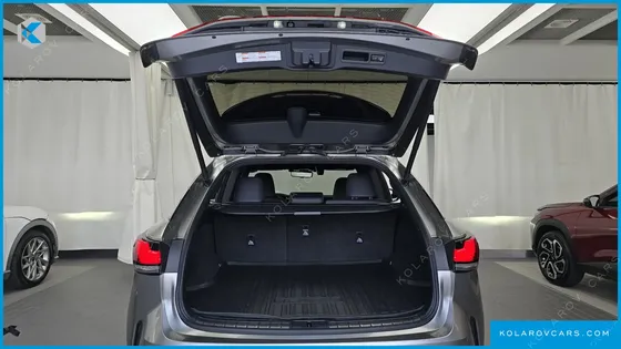 LEXUS RX LUXURY