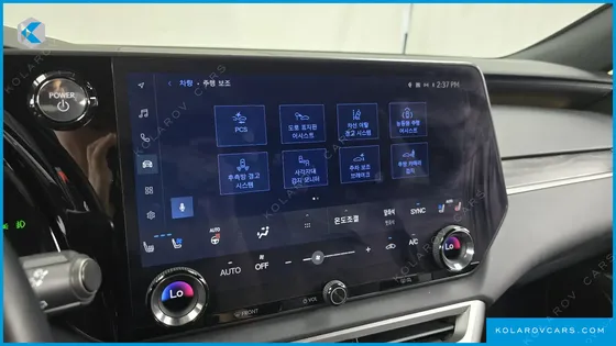 LEXUS RX LUXURY