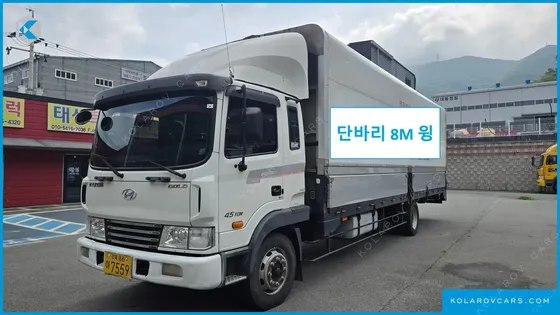 HYUNDAI MEGA TRUCK GOLD