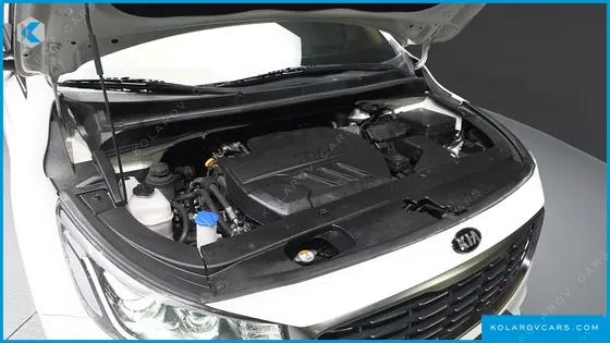 KIA CARNIVAL 9-SEATER HI-LIMOUSINE
