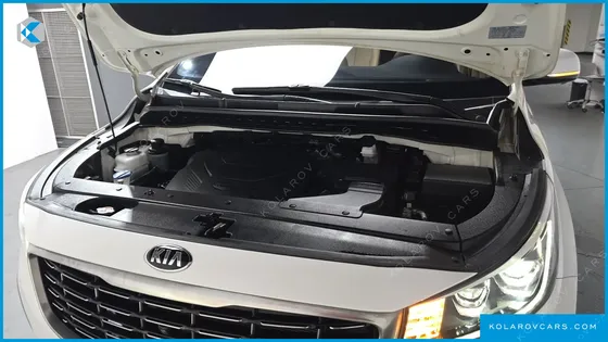 KIA CARNIVAL GASOLINE 7-SEATER LIMOUSINE