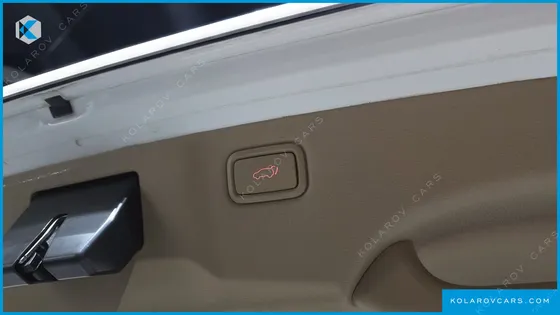 KIA CARNIVAL GASOLINE 7-SEATER LIMOUSINE