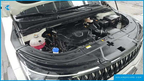 KIA CARNIVAL 9-SEATER NOBLESSE