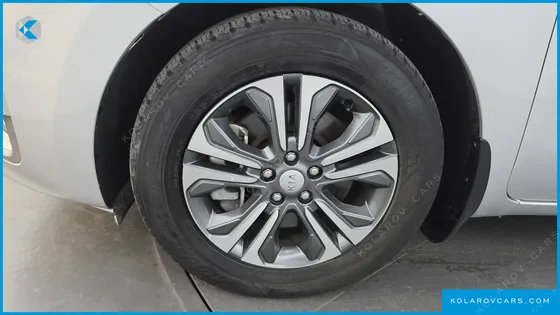 KIA CARNIVAL 9-SEATER LUXURY