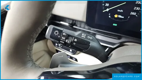 KIA CARNIVAL GASOLINE 7-SEATER HI LIMOUSINE