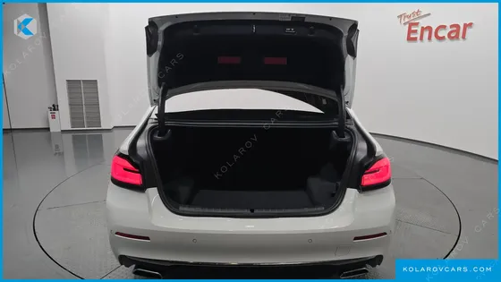 BMW 5 SERIES 530I XDRIVE LUXURY