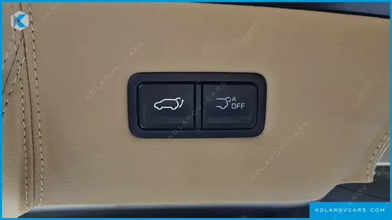 KIA CARNIVAL GASOLINE 9-SEATER HI LIMOUSINE (7-SEATER LIMOUSINE(SPECIAL VEHICLE)
