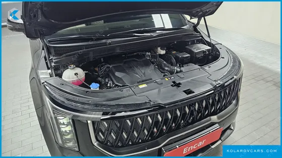 KIA CARNIVAL GASOLINE 4-SEATER HI LIMOUSINE