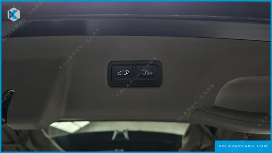 KIA CARNIVAL GASOLINE 4-SEATER HI LIMOUSINE