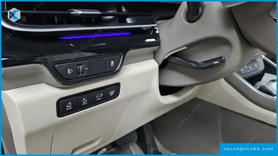 KIA CARNIVAL GASOLINE 4-SEATER HI LIMOUSINE
