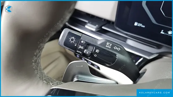 KIA CARNIVAL GASOLINE 4-SEATER HI LIMOUSINE