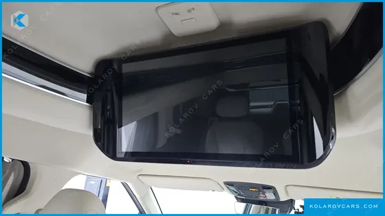 KIA CARNIVAL GASOLINE 4-SEATER HI LIMOUSINE