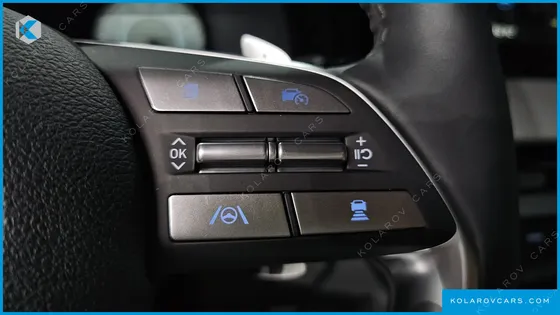HYUNDAI PALISADE GASOLINE 3.8 2WD