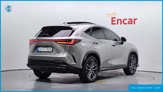LEXUS NX LUXURY