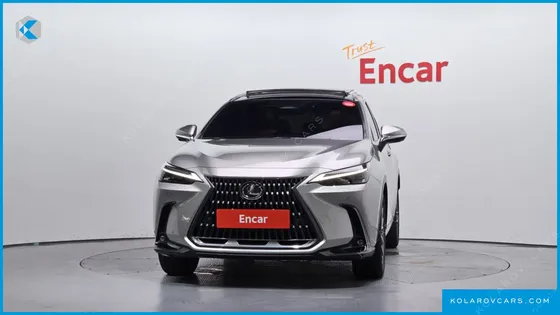 LEXUS NX LUXURY