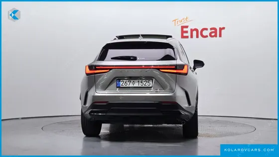 LEXUS NX LUXURY