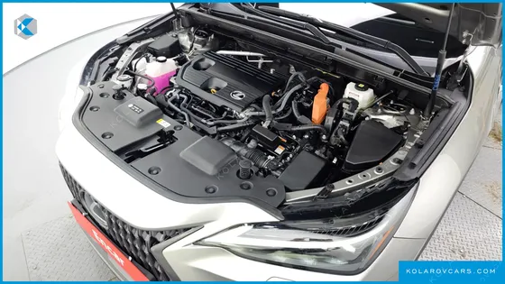 LEXUS NX LUXURY