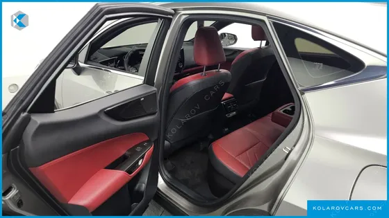 LEXUS NX LUXURY