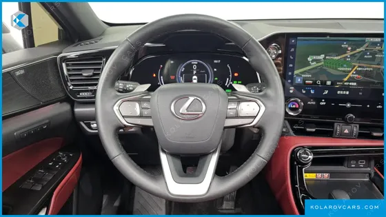 LEXUS NX LUXURY
