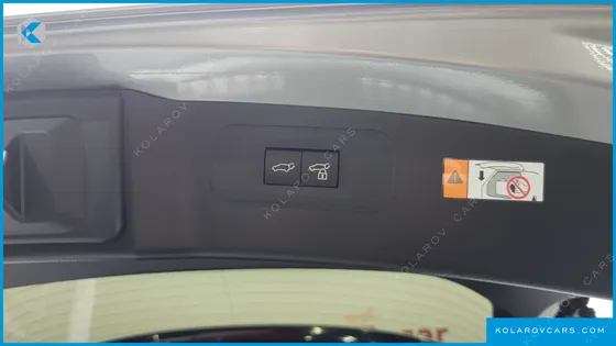 LEXUS NX LUXURY