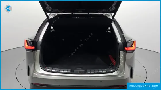 LEXUS NX LUXURY