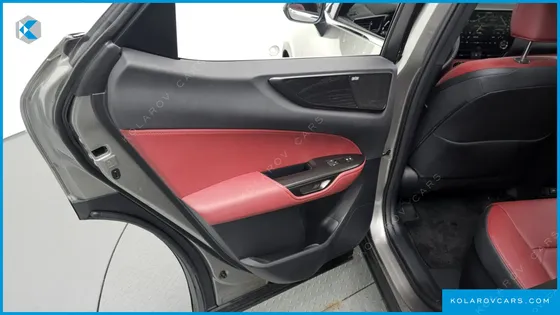LEXUS NX LUXURY
