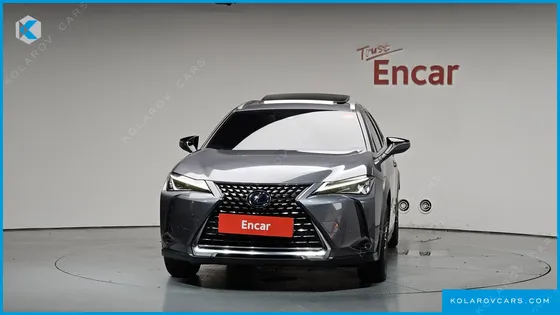 LEXUS UX 2.0 2WD