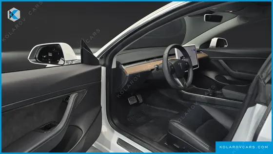TESLA MODEL 3 STANDARD RANGE PLUE RWD