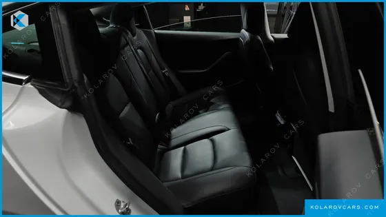TESLA MODEL 3 STANDARD RANGE PLUE RWD