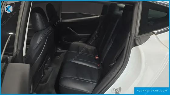 TESLA MODEL 3 STANDARD RANGE PLUE RWD
