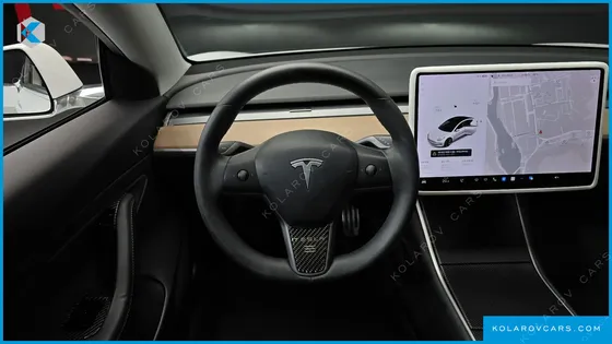 TESLA MODEL 3 STANDARD RANGE PLUE RWD