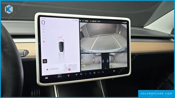 TESLA MODEL 3 STANDARD RANGE PLUE RWD