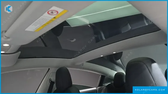 TESLA MODEL 3 STANDARD RANGE PLUE RWD