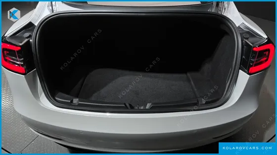 TESLA MODEL 3 STANDARD RANGE PLUE RWD