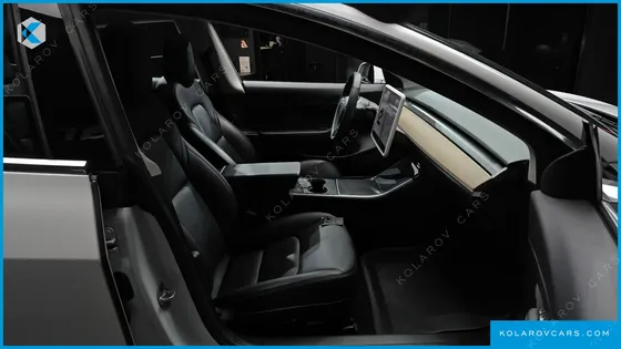 TESLA MODEL 3 STANDARD RANGE PLUE RWD