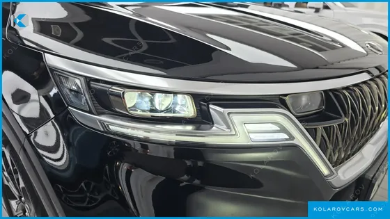 KIA CARNIVAL GASOLINE 9-SEATER LIMOUSINE(SPECIAL VEHICLE)