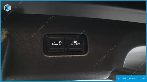 KIA CARNIVAL 9-SEATER SIGNATURE