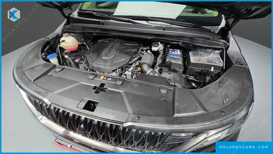 KIA CARNIVAL 9-SEATER NOBLESSE