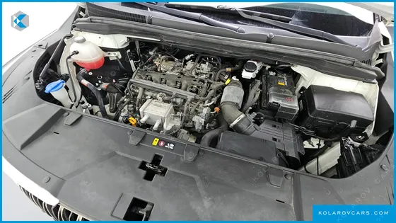 KIA CARNIVAL 9-SEATER SIGNATURE
